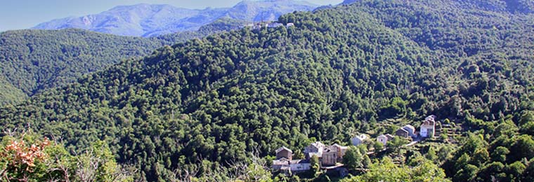 Découvrez la Vallée d'Orezza en voiture 